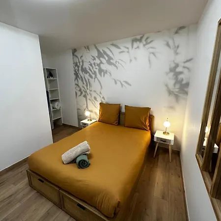 Le Tropical - Hyper Centre - Patio - Wifi Apartamento