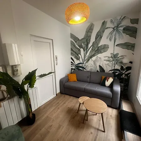 公寓 Le Tropical - Hyper Centre - Patio - Wifi 尼奥尔
