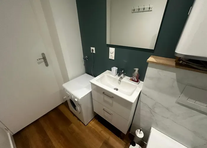 Le Tropical - Hyper Centre - Patio - Wifi Apartment Niort